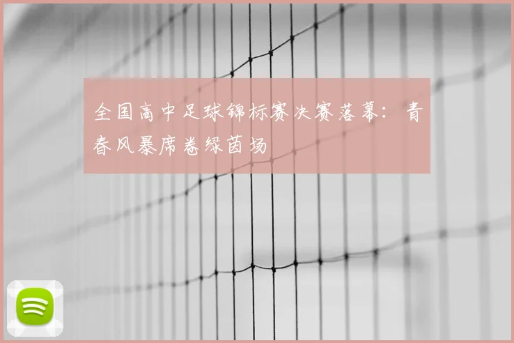 全国高中足球锦标赛决赛落幕：青春风暴席卷绿茵场